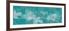 Teal Xray 4-Albert Koetsier-Framed Premium Giclee Print