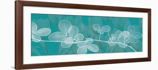 Teal Xray 4-Albert Koetsier-Framed Premium Giclee Print