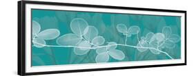 Teal Xray 4-Albert Koetsier-Framed Premium Giclee Print