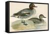 Teal-Beverley R. Morris-Framed Stretched Canvas