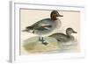 Teal-Beverley R. Morris-Framed Giclee Print