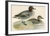 Teal-Beverley R. Morris-Framed Giclee Print