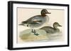 Teal-Beverley R. Morris-Framed Giclee Print