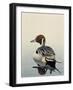 Teal-Harro Maass-Framed Giclee Print