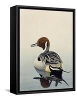 Teal-Harro Maass-Framed Stretched Canvas