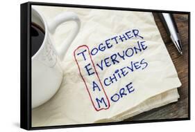 TEAM Acronym (Together Everyone Achieves More), Teamwork Motivation Concept - a Napkin Doodle-PixelsAway-Framed Stretched Canvas