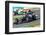 Team Lotus Renault and Force India 2012-viledevil-Framed Photographic Print