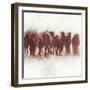 Team of Brown Horses Running-Dan Meneely-Framed Art Print