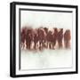 Team of Brown Horses Running-Dan Meneely-Framed Art Print