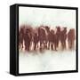 Team of Brown Horses Running-Dan Meneely-Framed Stretched Canvas
