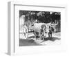 Team of Oxen, Mexico, C.1927-Tina Modotti-Framed Giclee Print