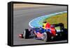 Team Red Bull F1, Sebastian Vettel, 2012-viledevil-Framed Stretched Canvas