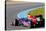 Team Red Bull F1, Sebastian Vettel, 2012-viledevil-Stretched Canvas