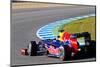 Team Red Bull F1, Sebastian Vettel, 2012-viledevil-Mounted Premium Photographic Print