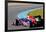 Team Red Bull F1, Sebastian Vettel, 2012-viledevil-Framed Photographic Print