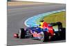 Team Red Bull F1, Sebastian Vettel, 2012-viledevil-Mounted Photographic Print