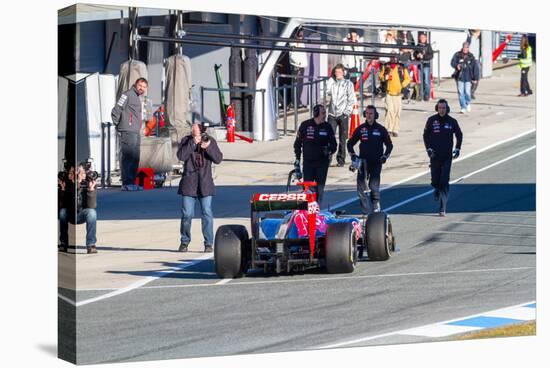 Team Toro Rosso F1, Daniel Ricciardo, 2012-viledevil-Stretched Canvas