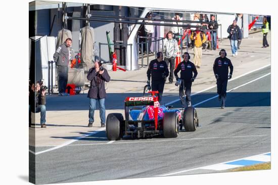 Team Toro Rosso F1, Daniel Ricciardo, 2012-viledevil-Stretched Canvas