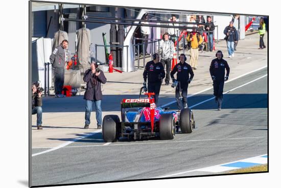 Team Toro Rosso F1, Daniel Ricciardo, 2012-viledevil-Mounted Photographic Print