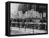 Teamster Union Signs Supporting Higher Pay and Pensions in NYC, 1954-null-Framed Stretched Canvas