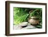 Teapot and Cups on Stone with Bamboo Leaves.-Liang Zhang-Framed Photographic Print
