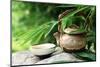 Teapot and Cups on Stone with Bamboo Leaves.-Liang Zhang-Mounted Photographic Print
