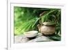 Teapot and Cups on Stone with Bamboo Leaves.-Liang Zhang-Framed Photographic Print