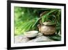 Teapot and Cups on Stone with Bamboo Leaves.-Liang Zhang-Framed Photographic Print