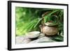 Teapot and Cups on Stone with Bamboo Leaves.-Liang Zhang-Framed Photographic Print