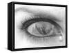 Tearful Encounter-Thomas Barbey-Framed Stretched Canvas