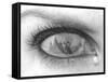 Tearful Encounter-Thomas Barbey-Framed Stretched Canvas