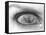 Tearful Encounter-Thomas Barbey-Framed Stretched Canvas