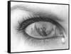 Tearful Encounter-Thomas Barbey-Framed Stretched Canvas