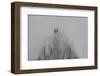 Tears of Crows-Jacob Berghoef-Framed Photographic Print