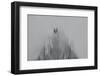 Tears of Crows-Jacob Berghoef-Framed Photographic Print