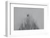 Tears of Crows-Jacob Berghoef-Framed Photographic Print