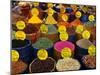 Teas and Spices at Spice Bazaar, Istanbul, Turkey-Greg Elms-Mounted Premium Photographic Print