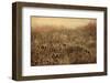 Teasel & Rosehips II-David Lorenz Winston-Framed Art Print