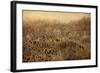 Teasel & Rosehips II-David Lorenz Winston-Framed Art Print