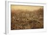 Teasel & Rosehips II-David Lorenz Winston-Framed Art Print