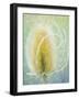 Teasel-Don Paulson-Framed Giclee Print