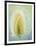 Teasel-Don Paulson-Framed Giclee Print