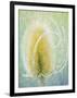 Teasel-Don Paulson-Framed Giclee Print