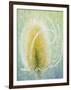 Teasel-Don Paulson-Framed Giclee Print