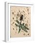 Teasel-Sarah Thompson-Engels-Framed Giclee Print