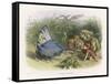 Teasing a Butterfly-Richard Doyle-Framed Stretched Canvas