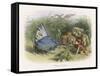 Teasing a Butterfly-Richard Doyle-Framed Stretched Canvas