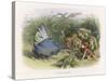 Teasing a Butterfly-Richard Doyle-Stretched Canvas