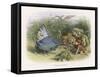 Teasing a Butterfly-Richard Doyle-Framed Stretched Canvas