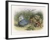 Teasing a Butterfly-Richard Doyle-Framed Art Print